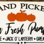Farm Fresh Pumpkins Sign - Image 6